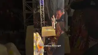Steve Aoki's onstage gender reveal
