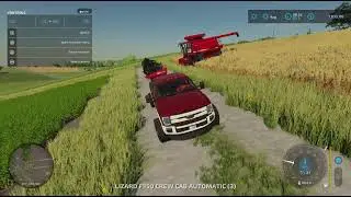 Harvesting wheat.On.Farming Simulator, 22.