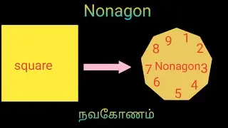 How to make a paper Nonagon from a square|Tamil|காகித நவகோணம்/ஒன்பது பக்க கோணம் செய்வது எப்படி?