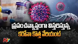 New COVID Variant BA.4.6 Spreads Across World | Ntv