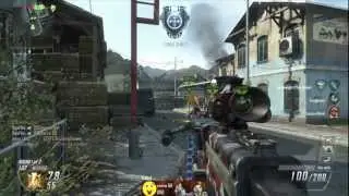 Black Ops 2: Thermal LSAT