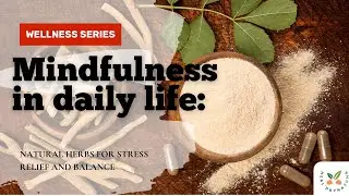 Boost Emotional Balance & Stress Relief with  Herbs | Natural Remedies for Mind & Body Wellness