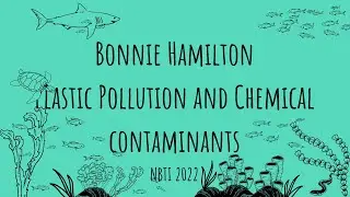 Bonnie Hamilton- Plastic Pollution and Chemical Contaminants in a Rapidly Warming Arctic