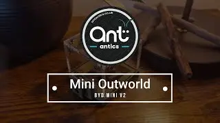 Mini Outworld  - Byd Mini -  Ant Antics - Build Guide