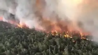 Australia ask for help