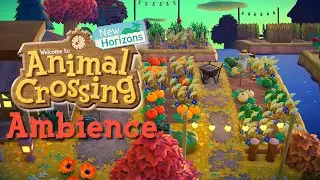 Animal Crossing | Relaxing Autumn Morning Ambience + Music