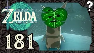 Alle Krogs im Gebiet des Zuzukiki-Turms &ndash; Zelda: Tears of the Kingdom | 181