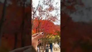 Hwadam Botanic Garden, Seoul, South Korea 🇰🇷🍂🍁 #Autumn #Seoul #SouthKorea