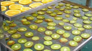 BEFORE & AFTER: Industrial AIM Heat Pump Dehydrator - HUGE Capacity, PERFECT Results!#fooddryer