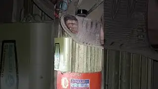2hp 1450 rpm electric motor load testing #electric #motor #load #foryou #shorts #2hp #winding #reels