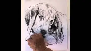&ldquo;Expressive, romantic, alive &mdash; this is charcoal art in motion.&rdquo;