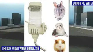 The Top 5 Rabbit water bottles