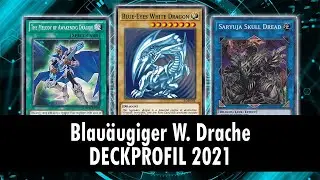 Blau&auml;ugiger Wei&szlig;er Drache Deckprofil 2021