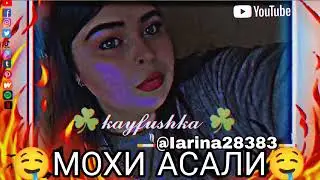 @larina28383#подпишись 🚬🇹🇯Мохи. Асали🚬☘️ тг @c01092003a