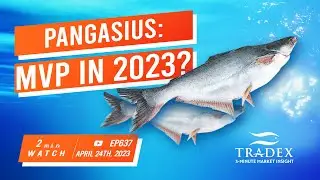 3MMI - WILL PANGASIUS BE AN MVP IN 2023?