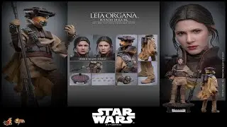 A LOOK AT: Star Wars Return of the Jedi &ndash; Leia Organa Boushh Disguise Figure by Hot Toys