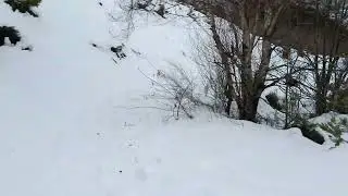 BAIXANDO DE FORMIGUEIROS AO COUTO 2