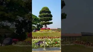 Harinalaya Deer Park New Town | Eco Park Zoo | Kolkata Tourist Places | Harinalaya Mini zoo Kolkata