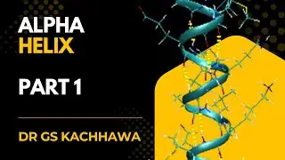 Alpha Helix | Protein Folding Made Simple | MSc & CSIR