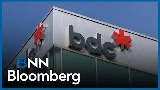 BDC expects DEI initiatives will have return on investment