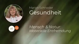💚 Entfremdung von der Natur: Die verheerenden Folgen f&uuml;r unsere Gesundheit & den Planeten