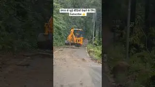 Jim Corbett National Park | Monsoon | Forest #shorts #relatable #trending #wildlife #wildanimals