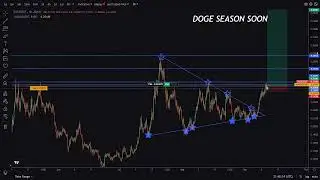 Black Panda Crypto Live Stream Live XRP and BTC Update
