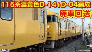 【JR西日本 115系濃黄色(D-14+D-04編成) 岡山&rarr;下関 6両で廃車回送(幡生入場回送)  回8345M 2026.1.5】