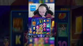 Котики занесли | Слот Lucie's Cats #slot #casino #заносынедели #занос #shorts