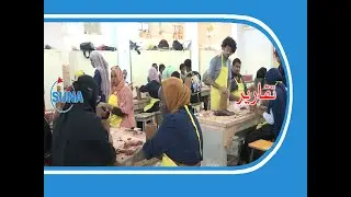 دور الفنون في التنمية والإنتاج