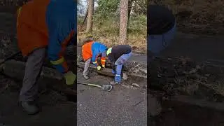 Odchwaszczanie drogi w dawnym Porcie Wojennym. Hel, 27.01.2025 r.