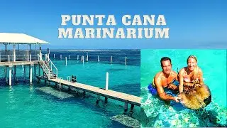 Marinarium Punta Pana  &ndash;  reef experience/swimming with sharks  &ndash;  Dominican Republic 2021
