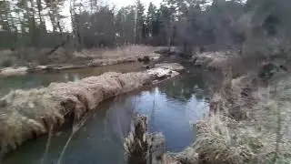 Sosnowiec Maczki - dawne przejście graniczne na wysokości Piernikarki