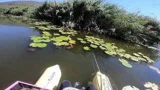 Marnus Erasmus - Punching for Bass from a Kickboat (South Africa)