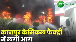 Breaking News: Kanpur Chemical Factory में लगी आग | Latest News | Urdu News | Zee Salaam