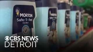 Metro Detroit business works to keep rock salt in stock amid shortage