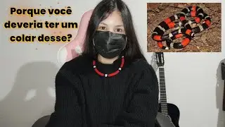 COLAR DE COBRA CORAL E SEU SIGNIFICADO 