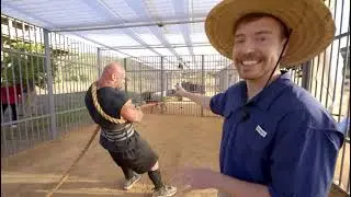 Man vs animal mr beast
