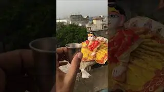 Laddu Gopal #laddugopal #ytshorts #kanhaji #krishnastatus #shortsfeed #shorts