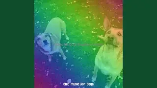 Delightful Moods for Separation Anxiety