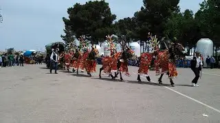 Las reatas llegan a Pinilla   Romeria de Tomelloso 2023,Domingo 30 de Abril