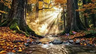 Enchanted Forest Haven: Rustling leaves, subtle animal sounds, deep forest immersion