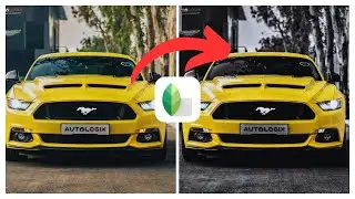 How to Use the Selective Color Method in Snapseed | (iOS & Android)