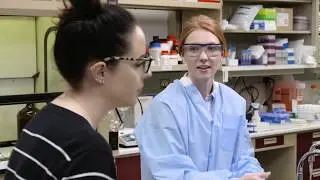Biosafety - Correct Needle Stick Response