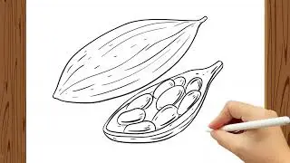 How to Draw Cardamom