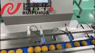Automatic Cup Cake Biscuit Cookie Wafer Wrapping Sealing Machine Packing Packaging Line