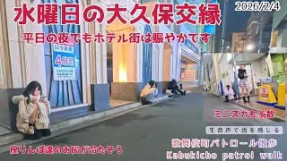 2/4  水曜日の大久保交縁　平日の夜でも異様な賑わい　ホテル街を徹底散歩　座りんぼ多発　　「地域の安全は、市民の目から」― 歌舞伎町の現状を見つめる“パトロール散歩” short version