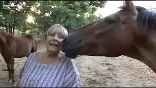 Les chevaux de Paula