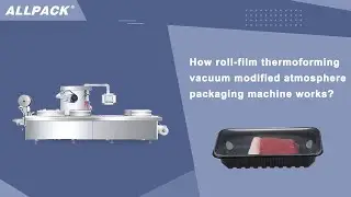 How roll-film thermoforming vacuum modified atmosphere packaging machine works?