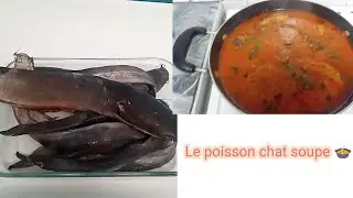 Delicious cat fish  Stew 🐟🐟